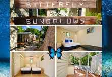 Butterfly Bungalows Fitzroy Island Accomodation