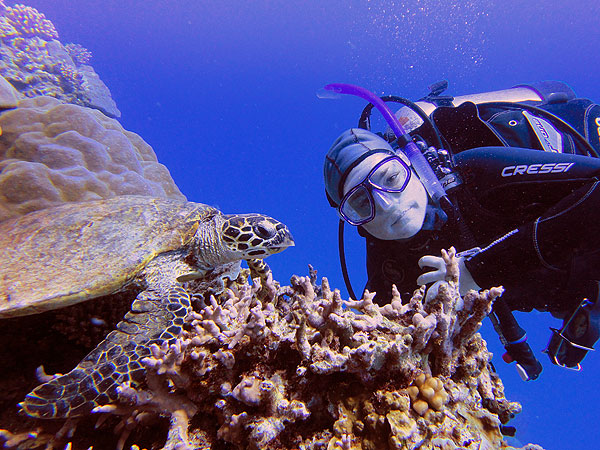 Love diving with turtles on the Great Barrier Reef