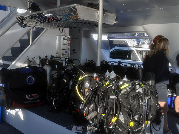 Spacious dive deck with new equipment