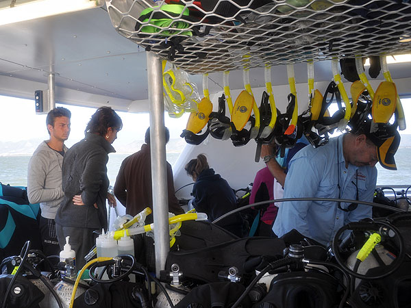Sorting equipment, ready for diving