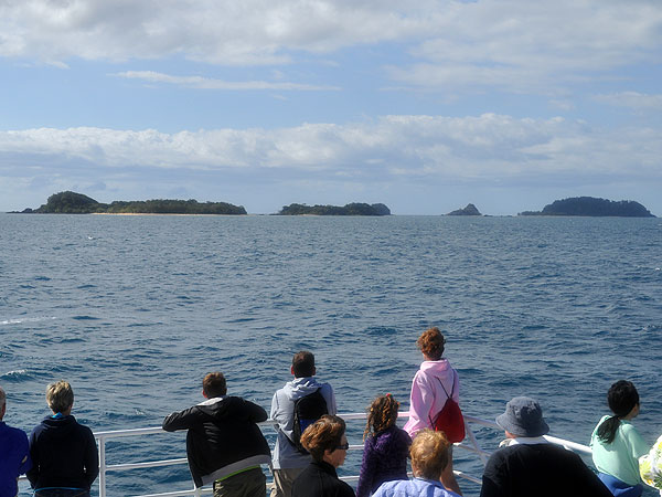 Heading out to the Frankland Islands Group