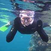 Snorkeling in a stinger suit