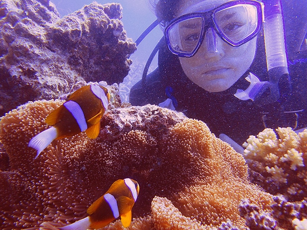 Checking out the anemonefish at Century Bay