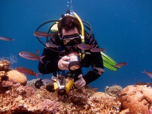 Hovering above Steve's Bommie trying to get the anemonefish