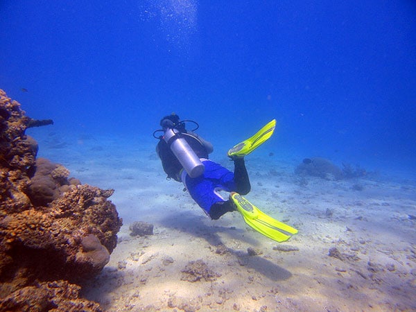 First dive - Sandra's at Saxon Reef