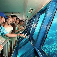 View the corals from the underwater observatory