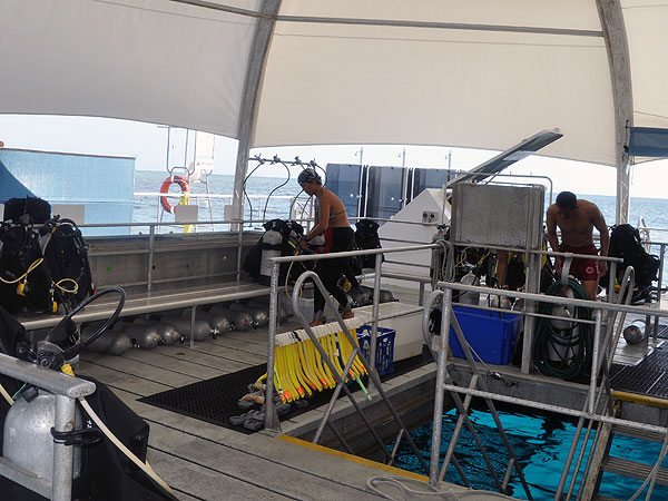 The dive area on the pontoon