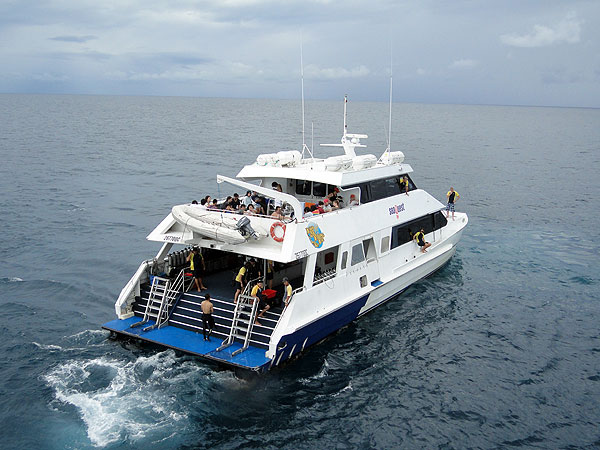 SeaQuest heads back to Cairns