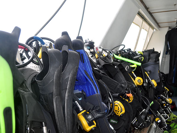 All dive equipment is included