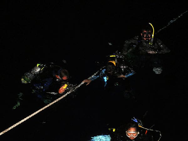 Night time - dive time!