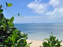 Ocean Free moored off the island