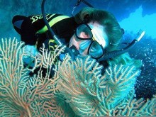 Diving on Reef Magic