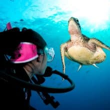 Advanced Diver with Sea Turtle