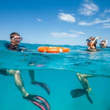 Adventures Drift Snorkeling Guided Tour