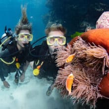 Anemonefish with Scuba Divers