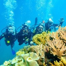 Introductory Scuba Diving