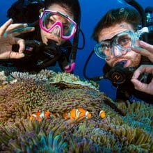Scuba Divers with Anemonefish