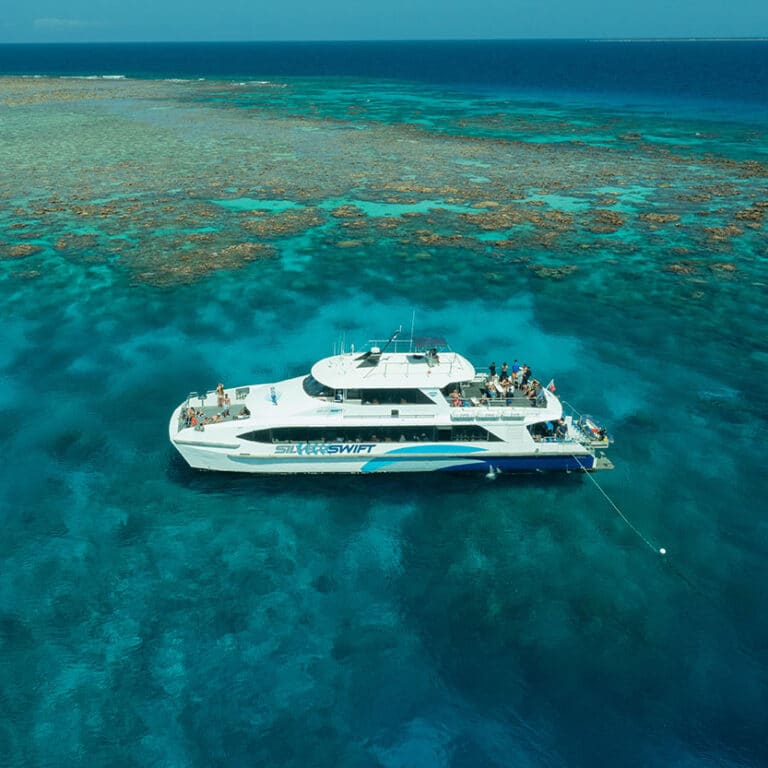 Silverswift - Quicksilver Cairns Great Barrier Reef Day Tour