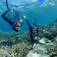 Snorkelers Inspecting Coral on Great Barrier Reef.