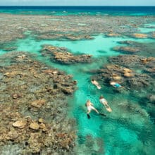 Snorkelers at Flynn Reef Cairns.