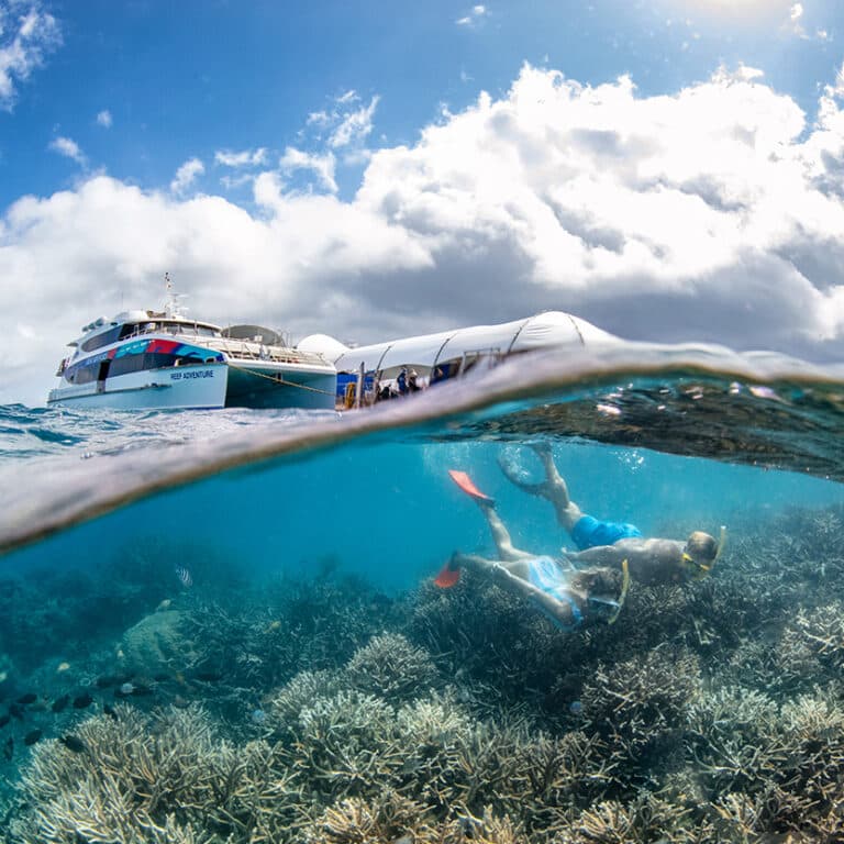 Great Adventures – Green Island & Great Barrier Reef Day Tour