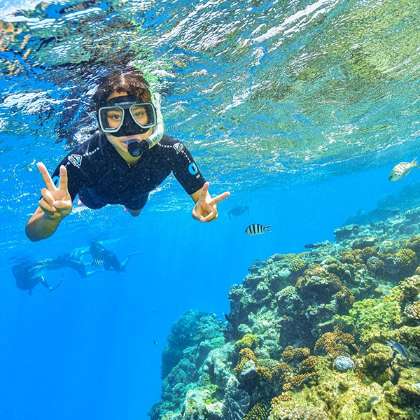 Snorkeling at Moore Reef Cairns Australia