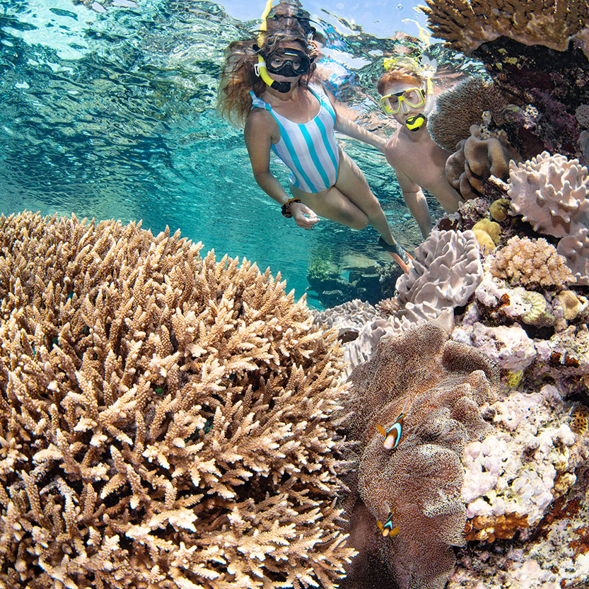 Which snorkeling spots in Cairns are best for spotting marine life?