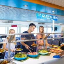 Buffet Lunch at Moore Reef Pontoon