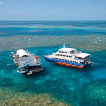 Sunlover Cruises boat and Moore Reef Pontoon