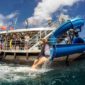 Lady enjoying the water-slide at Moore Reef.
