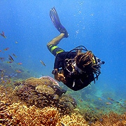 Diving at Green Island