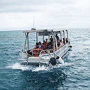 Cairns Glass Bottom Boat