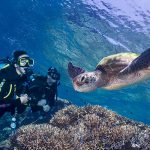 Scuba Divers with Sea Turtle.