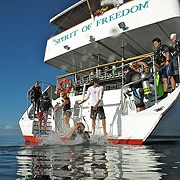 Spirit of Freedom Spirit of Freedom