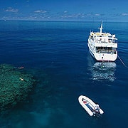 Ribbon Reefs