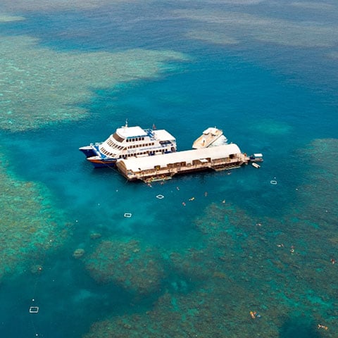 Sunlover Pontoon, Moore Reef Cairns Australia.