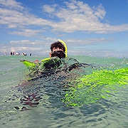 Upolu Cay Snorkel