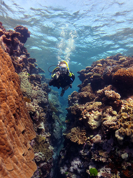 Scuba diving on Flynn Reef
