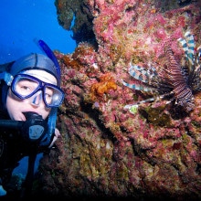 Lionfish Spotted on pleasure dive
