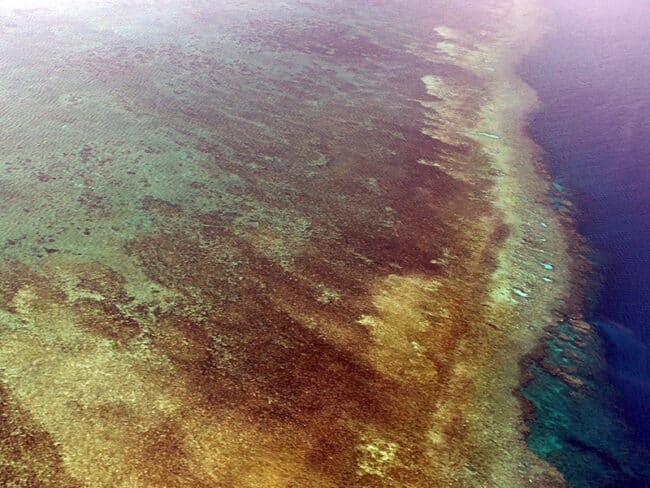 Ribbon Reefs