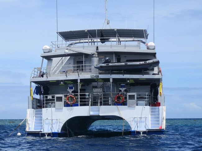 Spoilsport Dive Deck