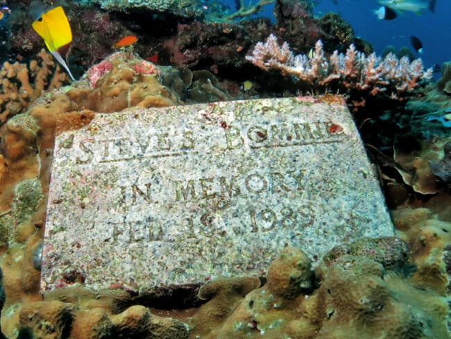 Steve's Bommie Plaque