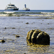 Low tide