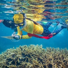 Marine Biology Guided Snorkel Tour.