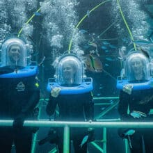 Ocean Walker Helmet Diving with Quicksilver Cruises.