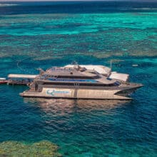 Quicksilver Cruises Catamaran.