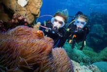 Two scuba divers observing an anemone with anemonefish during the Poseidon snorkel and dive tour at the Agincourt Ribbon Reefs.
