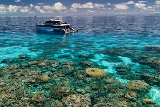 Silversonic catamaran floating above shallow coral gardens with snorkellers in clear blue water.