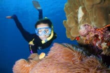 Snorkeller observing an anemonefish among soft anemone tentacles at the Agincourt Ribbon Reefs on the Poseidon snorkel and dive tour.