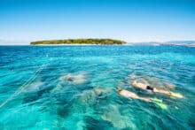 Snorkellers exploring shallow reef waters with Green Island in the background.